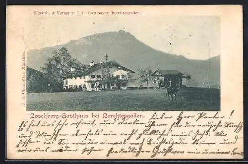 AK Berchtesgaden, Boschberg-Gasthaus, Partie auf der Weide mit Kuh