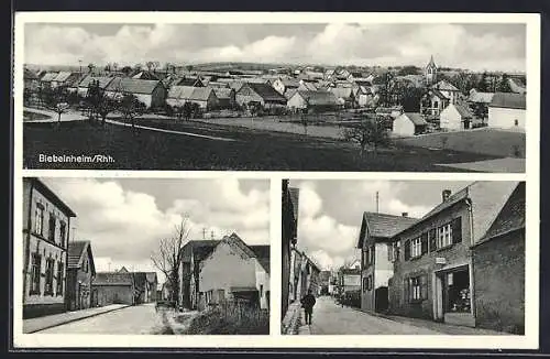 AK Biebelnheim /Rhh., Strassenpartie mit Gemischtwaren H. Oehlhof, Ortspanorama von einem Acker aus