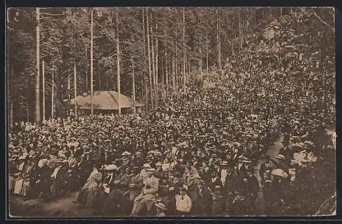 AK Oybin, Blick von der Bühne des Waldtheaters