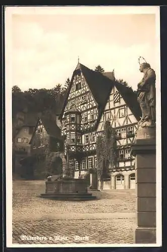 AK Miltenberg a. Main, Strassenpartie mit Brunnen