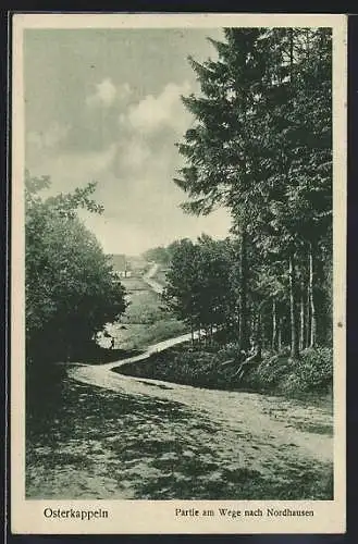 AK Osterkappeln, Partie am Wege nach Nordhausen