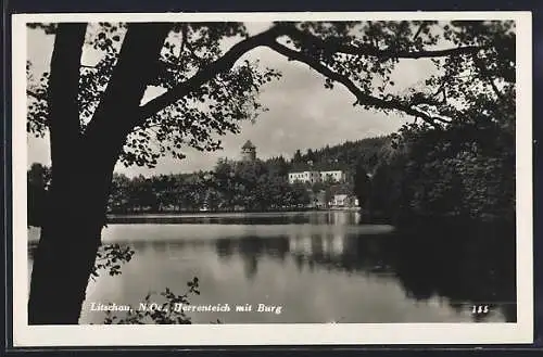 AK Litschau, Herrenteich mit Burg