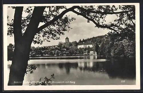 AK Litschau, Herrenteich mit Burg