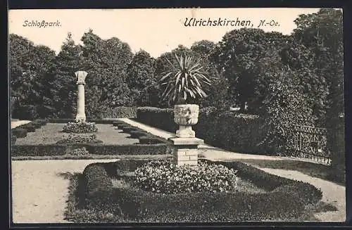 AK Ulrichskirchen, Schlosspark, Partie mit Säule u. Palme