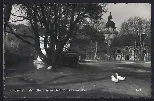 AK Tribuswinkel, Schloss / Kinderheim der Stadt Wien, Ortspartie