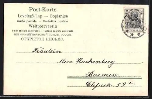 Präge-AK Kleeblätter und Jahreszahl 1903 aus Veilchen, Neujahrsgruss