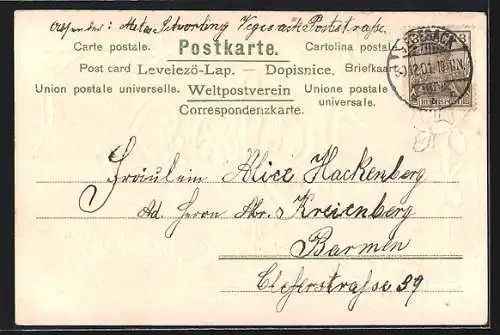 Präge-AK Glückwünsche zum Jahr 1902, Jahreszahl und Veilchen