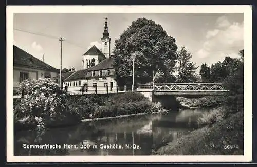 AK Horn /N.-Oe., Flusspartie mit Blick zur Kirche