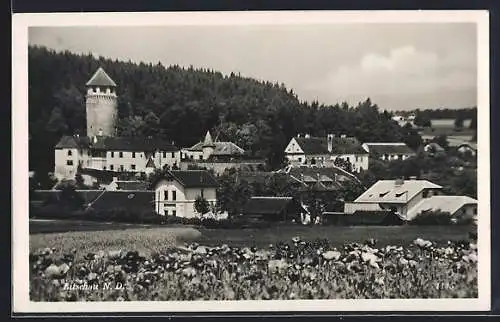 AK Litschau, Teilansicht mit Schloss