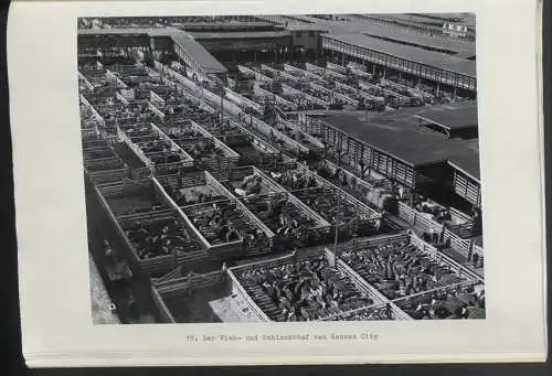 AK Litschau, Blick von oben auf den Stadtplatz