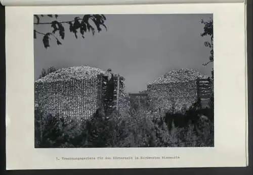 AK Litschau, Blick von oben auf den Stadtplatz