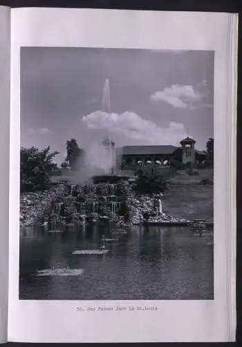 AK Litschau, Blick von oben auf den Stadtplatz