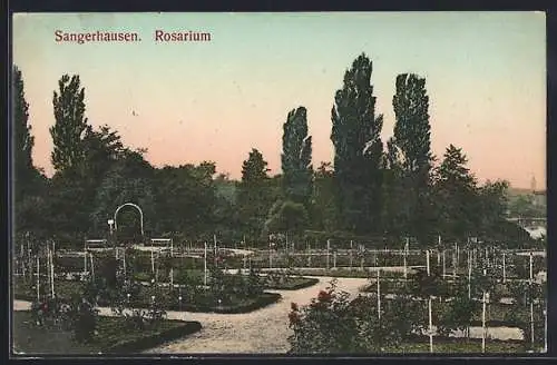 AK Sangerhausen, Im Rosarium