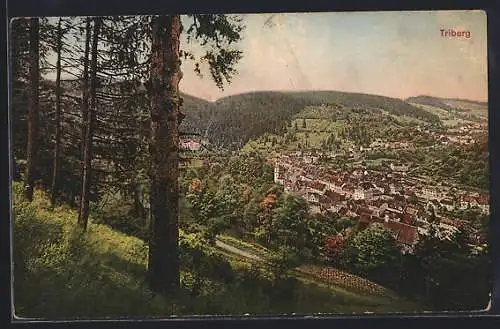 AK Triberg, Ortsansicht vom Waldrand aus