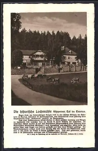 AK Köppern i. T., Hotel-Restaurant und Cafe historische Lochmühle im Köpperner Tal