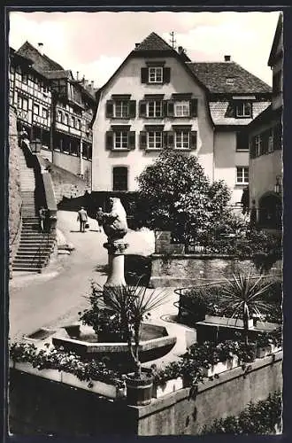 AK Meersburg /Bodensee, Bärenbrunnen