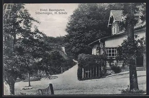 AK Silberbergen, Hotel Baumgarten von H. Schulz