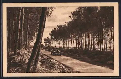 AK Questembert, Le Bois de Pins à Loutfaut, Route de Noyal