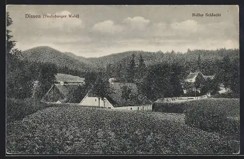 AK Dissen /Teutoburger Wald, Ortsansicht mit Noller Schlucht