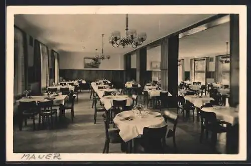 AK Mauer, Restaurant Haus am Wienerwald, Waldgasse 16