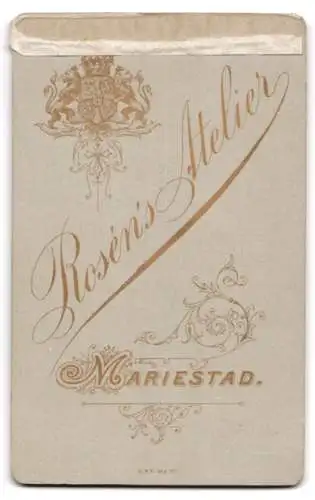 Fotografie Atelier Rosen, Mariestad, Pastor im Talar