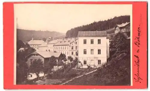 Fotografie Robert Spatzier, Trautenau, Ansicht Johannisbad / Janské Lázne, Teilansich des Ortes mit Wohnhäusern