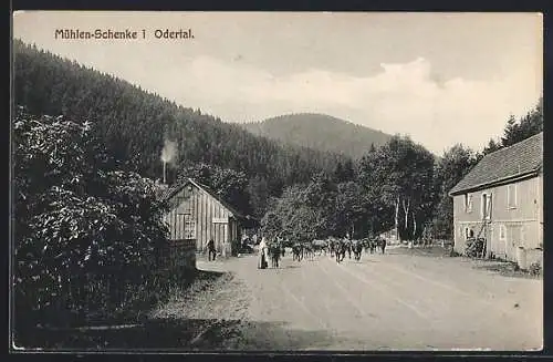 AK Bad Lauterberg / Odertal, Gasthaus Mühlen-Schenke mit Strassenpartie