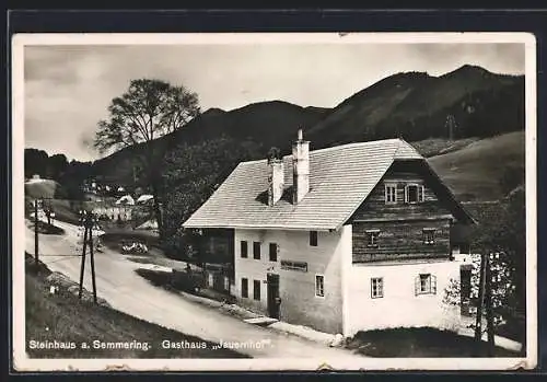 AK Steinhaus a. Semmering, Gasthaus Jauernhof mit Strassenpartie