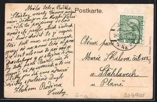 AK Neuhaus / Inn, Englisches Fräulein-Institut, Panorama von Schärding