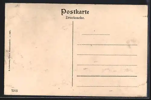 AK Wien-Salmannsdorf, Ortsansicht vom Felde aus