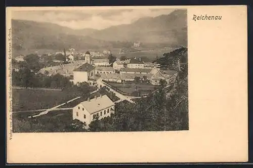 AK Reichenau, Teilansicht mit Kirche und Strassenpartie