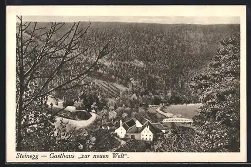 AK Steinegg, Blick auf das Gasthaus zur neuen Welt