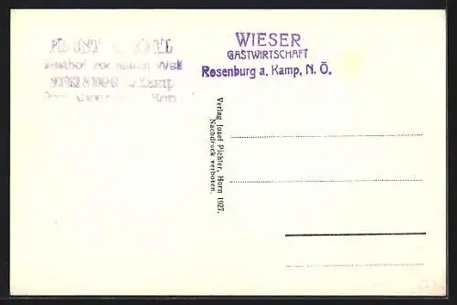 AK Steinegg, Blick auf das Gasthaus zur neuen Welt