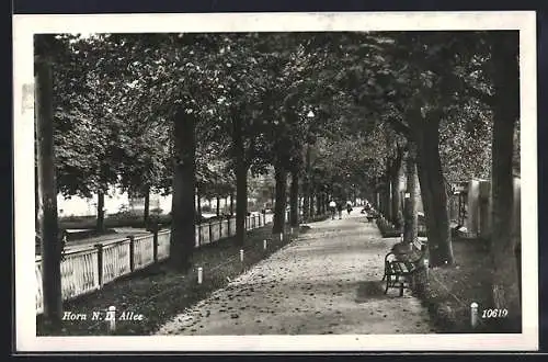 AK Horn /N. D., Allee mit Spaziergängern