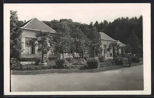 Foto-AK Bad Tatzmannsdorf, Strassenpartie