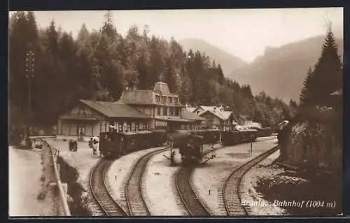 AK Brünig, Gleispartie am Bahnhof, Eisenbahnen