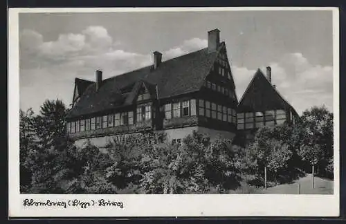 AK Blomberg /Lippe, Blick auf die Burg