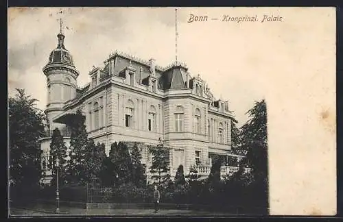 AK Bonn, Blick aufs Kronprinzl. Palais