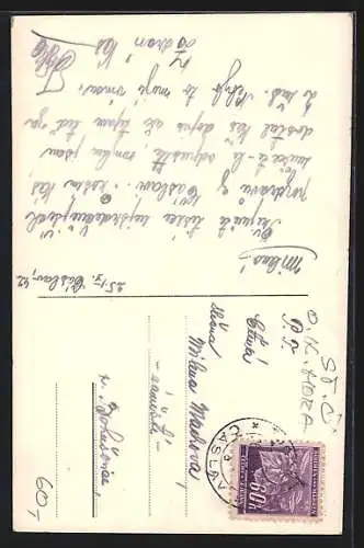 AK Caslav, Sokolovna