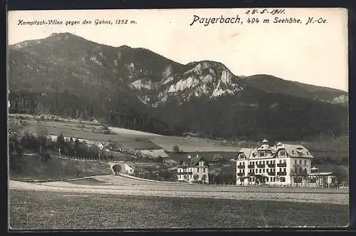 AK Payerbach /N.-Oe., Kampitsch-Villen gegen den Gahns