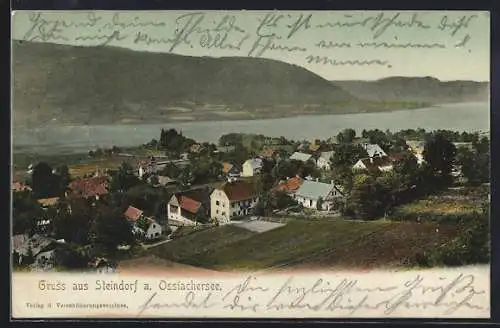 AK Steindorf a. Ossiachersee, Ortsansicht gegen die Berge