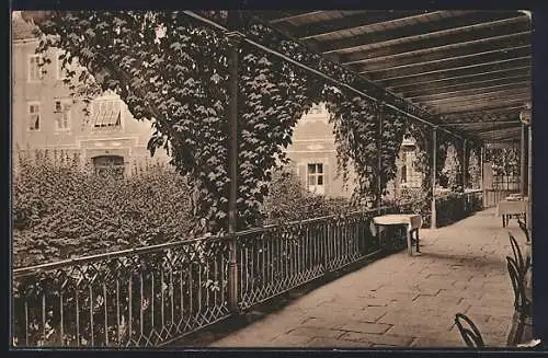 AK Krapina-Töplitz, auf der Kurterrasse