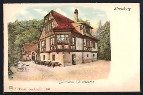 Lithographie Strassburg, Bauernhaus i. d. Orangerie