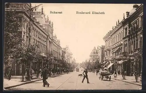 AK Bukarest, Boulevard Elisabeth, Strassenbahn