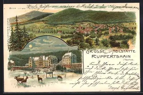 Lithographie Ruppertshain i. Taunus, Blick von der Heilstätte