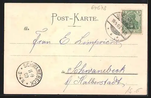 AK Lindenfels, Hotel Odenwald, Garten und Ortsansicht mit Burg