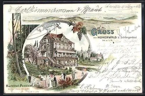 Lithographie Schlangenbad, Hotel-Pension Hohenwald