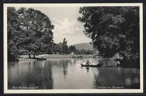 AK Bad Homburg v. d. H., Weiher im Kurpark, mit Bootspartie