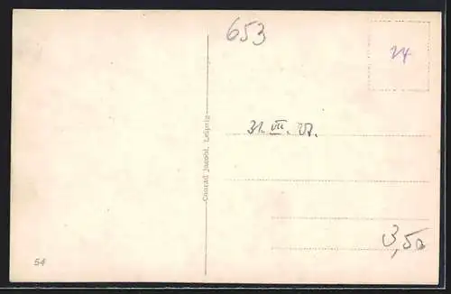 AK Bingen am Rhein, Burg Klopp mit Umgebung