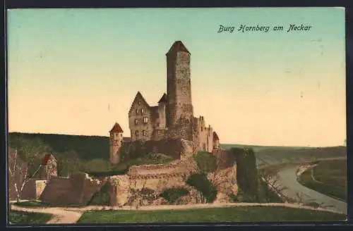 AK Burg Hornberg am Neckar, Ortsansicht mit Neckar